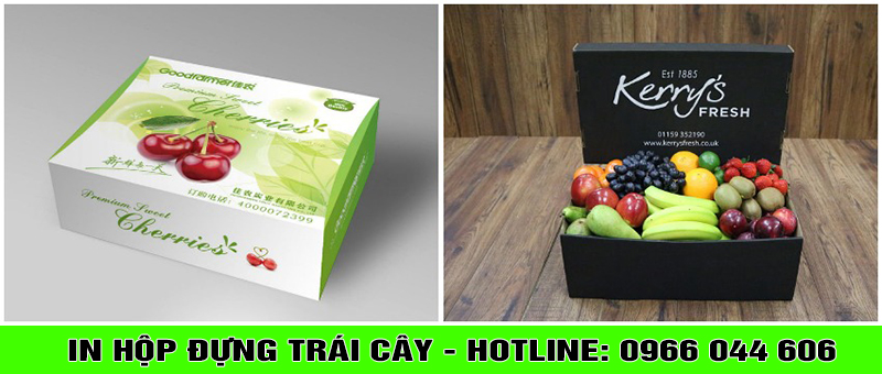 in-hop-giay-dung-trai-cay-3